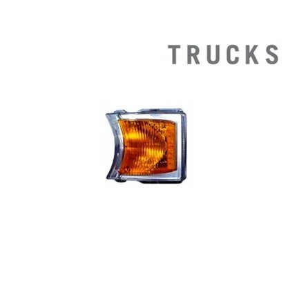 SCANIA 1747981 সকেট সহ কোণার বাতি